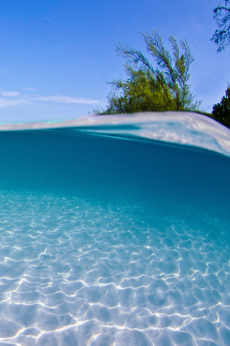 Island Images  Deep Blue Images  Grand Cayman Underwater and Topside Photography Experts