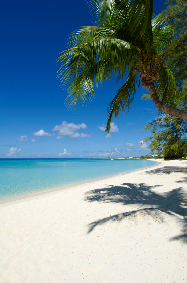 Island Images  Deep Blue Images  Grand Cayman Underwater and Topside Photography Experts